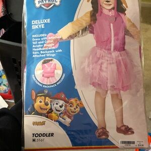 Paw Patrol Skye Pink and Gold Costume